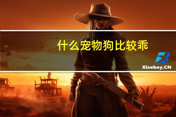 什么宠物狗比较乖