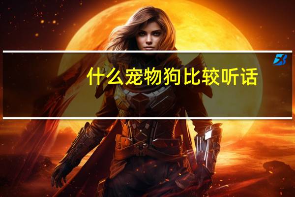 什么宠物狗比较听话