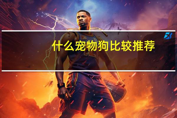什么宠物狗比较推荐