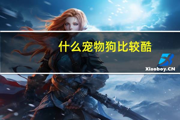 什么宠物狗比较酷