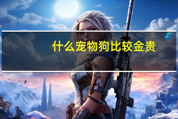 什么宠物狗比较金贵