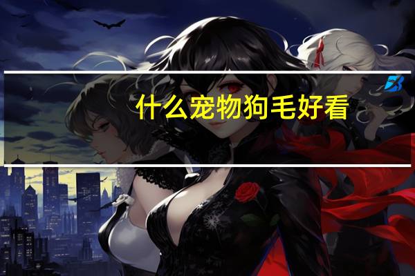 什么宠物狗毛好看