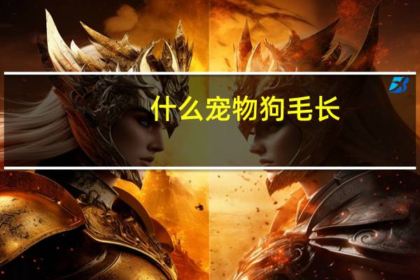 什么宠物狗毛长