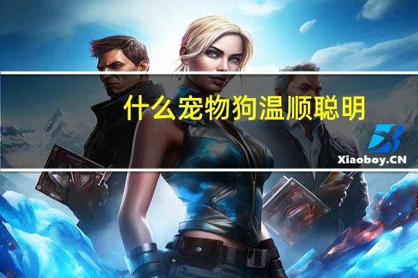 什么宠物狗温顺聪明