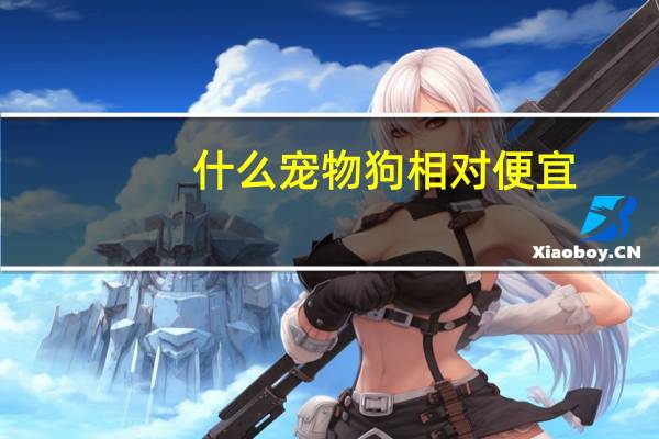 什么宠物狗相对便宜