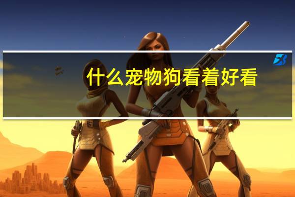 什么宠物狗看着好看