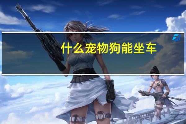 什么宠物狗能坐车