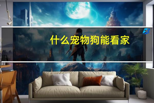 什么宠物狗能看家