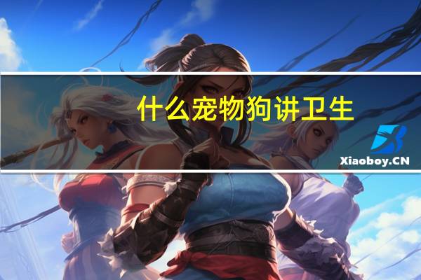 什么宠物狗讲卫生