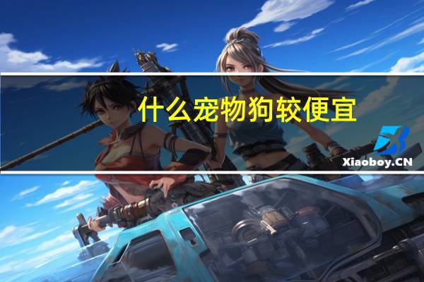 什么宠物狗较便宜