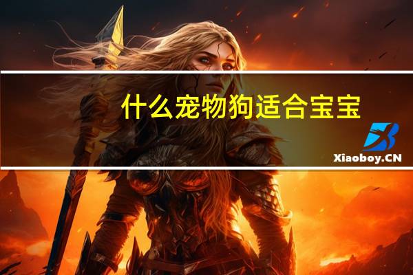 什么宠物狗适合宝宝