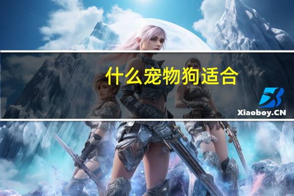什么宠物狗适合