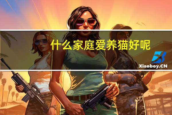 什么家庭爱养猫好呢