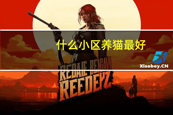 什么小区养猫最好