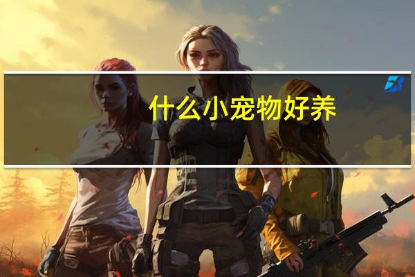 什么小宠物好养