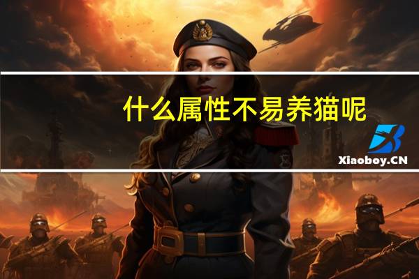 什么属性不易养猫呢