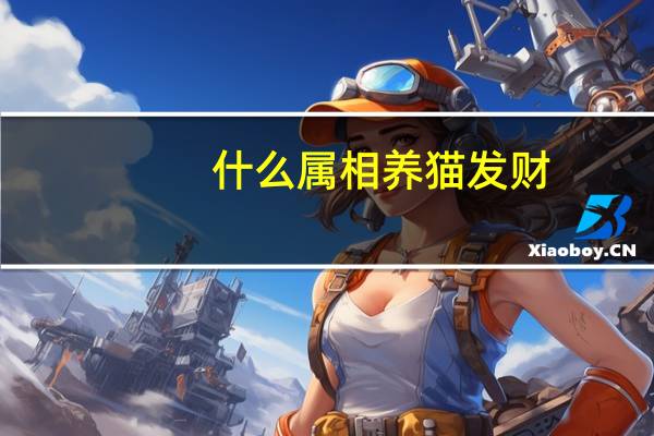 什么属相养猫发财