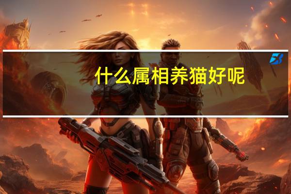 什么属相养猫好呢