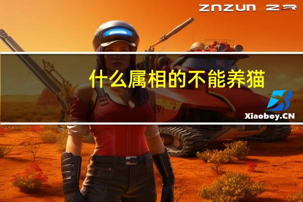 什么属相的不能养猫