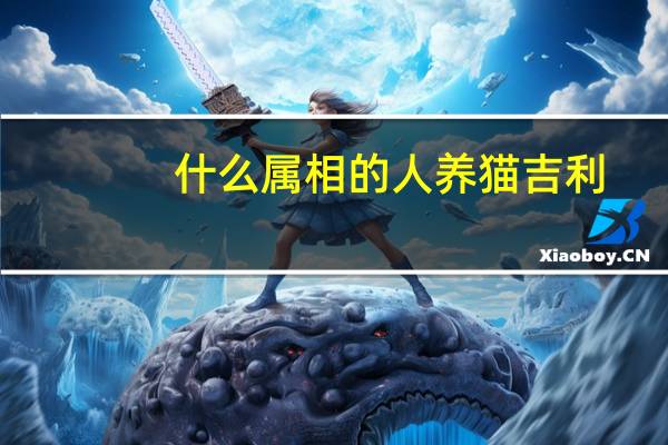什么属相的人养猫吉利