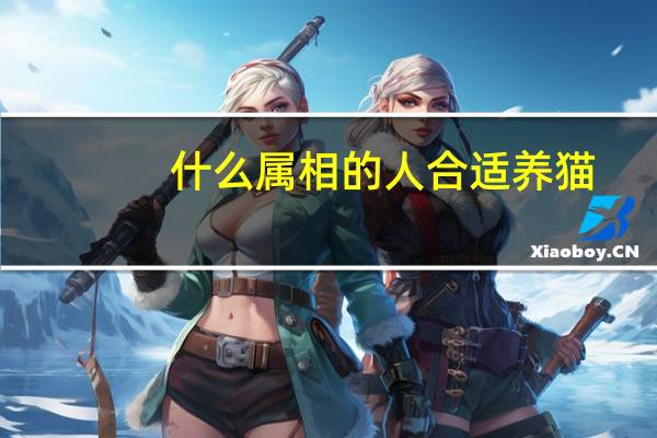 什么属相的人合适养猫