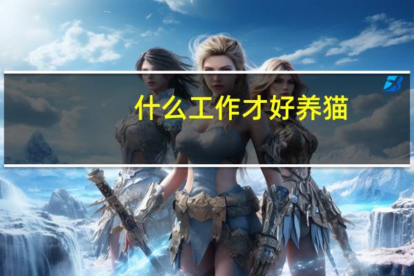 什么工作才好养猫