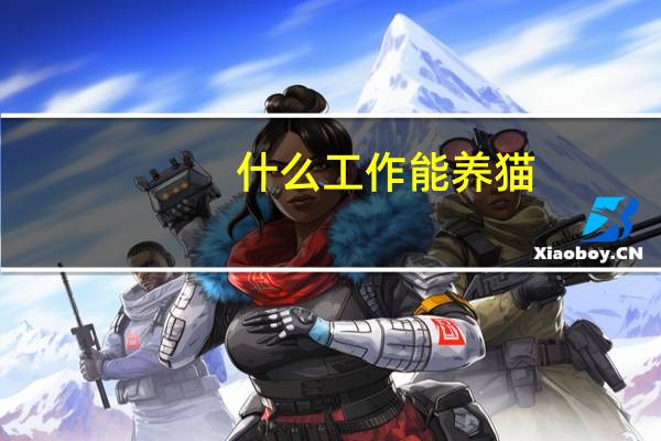 什么工作能养猫
