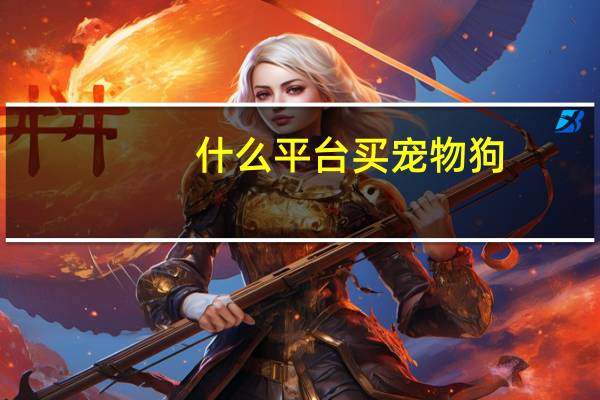 什么平台买宠物狗