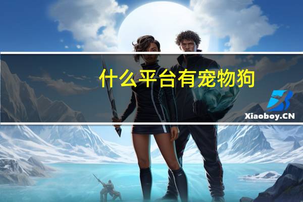 什么平台有宠物狗