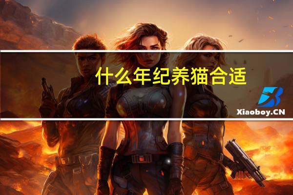 什么年纪养猫合适