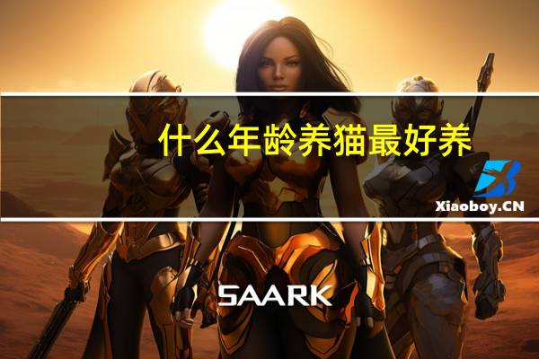 什么年龄养猫最好养