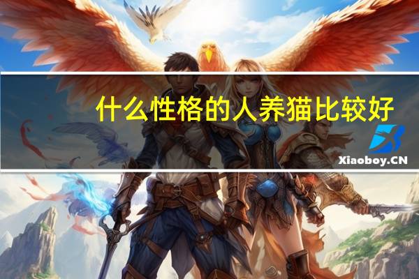 什么性格的人养猫比较好