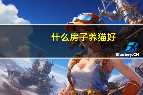 什么房子养猫好