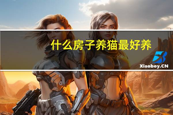 什么房子养猫最好养