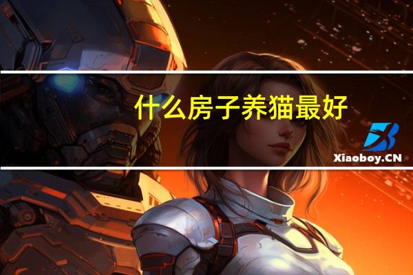 什么房子养猫最好