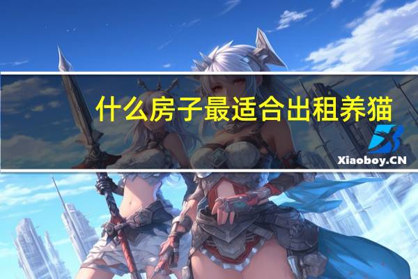 什么房子最适合出租养猫