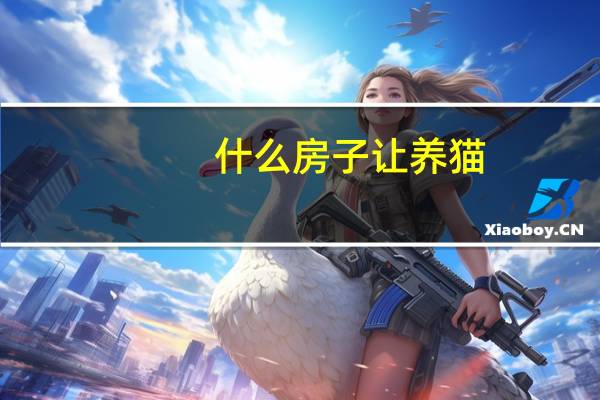 什么房子让养猫