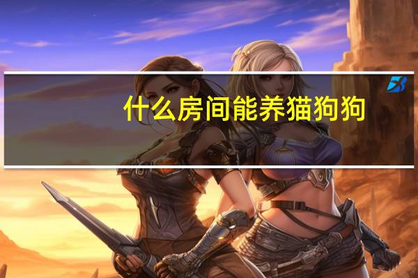 什么房间能养猫狗狗