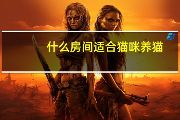 什么房间适合猫咪养猫