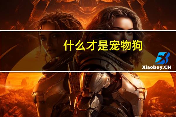 什么才是宠物狗