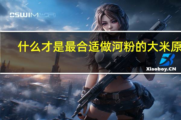 什么才是最合适做河粉的大米原料