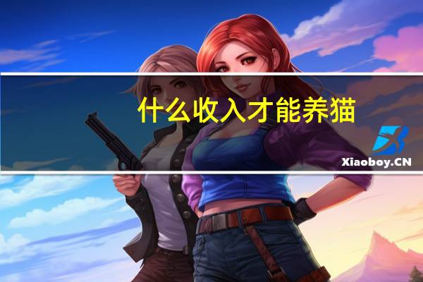 什么收入才能养猫