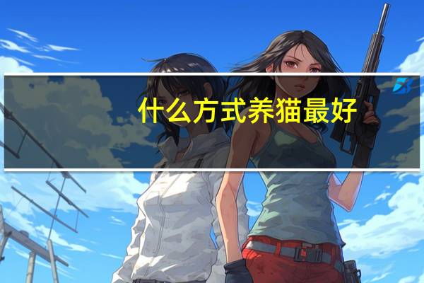 什么方式养猫最好