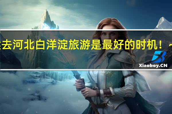 什么时候去河北白洋淀旅游是最好的时机！~~~会不会很热