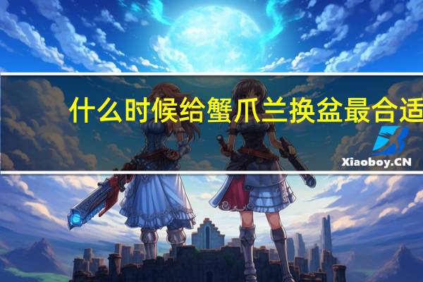 什么时候给蟹爪兰换盆最合适