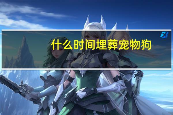 什么时间埋葬宠物狗