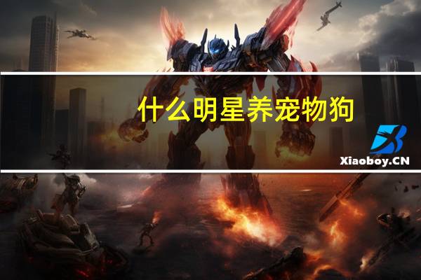 什么明星养宠物狗