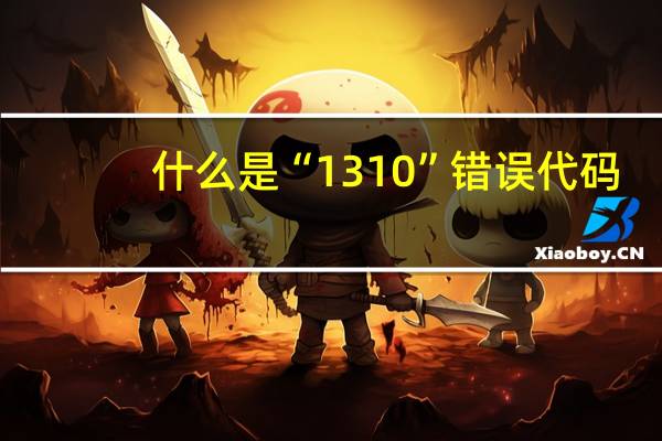 什么是“1310”错误代码