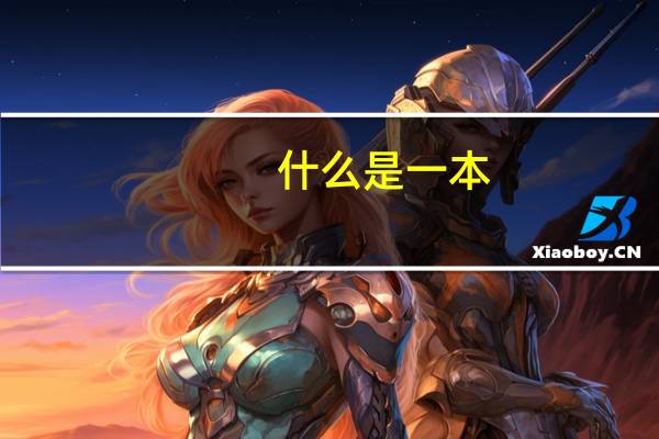 什么是一本，二本，211大学和985大学啊！