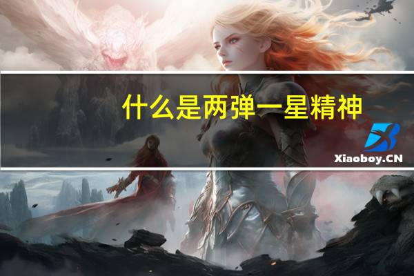 什么是两弹一星精神,由此得到什么启发(什么是两弹一星精神)